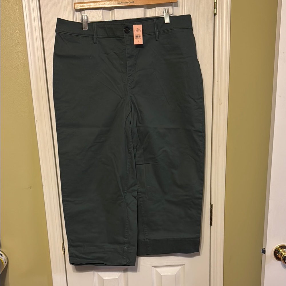 Dark Green Chino Crops